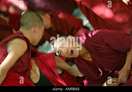 I sieri leader monastero educativo a Lhasa il Tibet noto per i monaci discutendo sul cortile Foto Stock