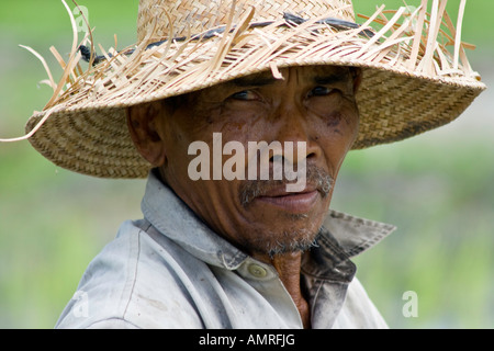 Ritratto di un coltivatore di riso, Ubud, Bali Indonesia Foto Stock