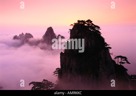 Cime delle montagne sopra le nuvole, Monte Huangshan, provincia di Anhui, Cina Foto Stock