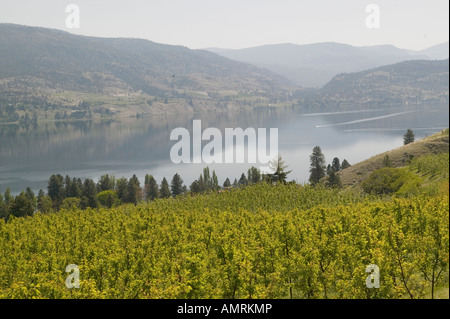Penticton, Okanagan Valley, sud della British Columbia, Canada, Lago Okanagan Foto Stock