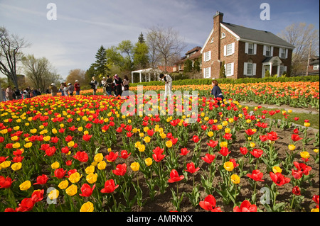 Durante l'annuale festival del tulipano, Commissari Park è trasformata in una festa per gli occhi con un array di fioriture colorate Foto Stock