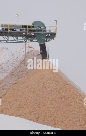 Nastro trasportatore e la pila di chip in Abitibi Bowater della pasta di legno e della carta mulino in Dalhousie New Brunswick Foto Stock