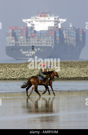 Piloti del cavallino sulla riva del fiume Elba, Amburgo, Germania Foto Stock