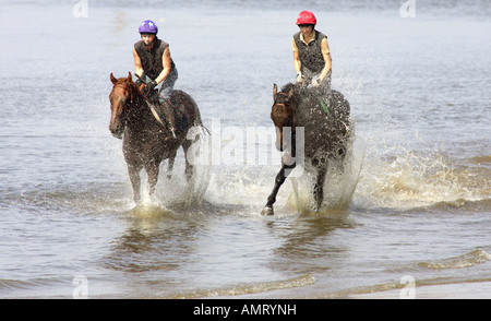 I piloti di cavalli al galoppo attraverso l'acqua sulla riva del fiume Elba, Amburgo, Germania Foto Stock