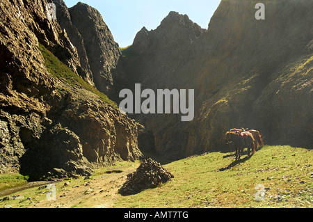 Yolyn am gorge. Gurvansaikhan National Park, Zuun Saikhanii Nuruu sud il deserto del Gobi e Mongolia Foto Stock