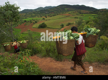 Myanmar Birmania Stato Shan Shabin vista area con due uomini che trasportano carichi pesanti sul loro retro sulla strada per il mercato locale Foto Stock