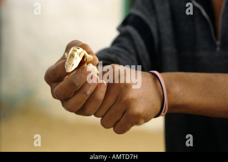 Close-up di un mans mani tenendo una salamandra Foto Stock