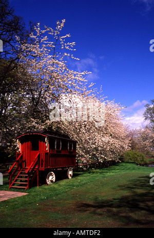 In legno rosso gypsy caravan in campo blu cielo Foto Stock