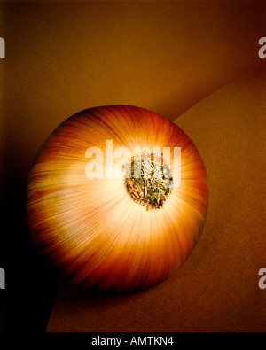 Ancora vita astrazione di onion esplora forma di colori e forme naturali Foto Stock