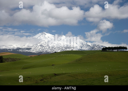 Coperta di neve Monte Ruapehu vulcano, Nuova Zelanda Foto Stock