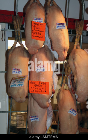 Oche appendere fuori delle macellerie nel mercato coperto, Oxford Foto Stock
