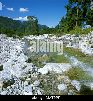 Kuhflucht creek vicino a Farchant Werdenfelser Land paese di Werdenfels distretto di Garmisch-Partenkirchen Alta Baviera Germania Foto Stock