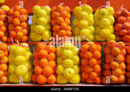 Sacchetti di arance e di limoni in un mercato in stallo nei pressi di Oliva Nova, Valencia, Spagna, Europa Foto Stock