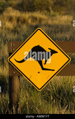 Kangoroo cartello segnaletico, Australia Foto Stock