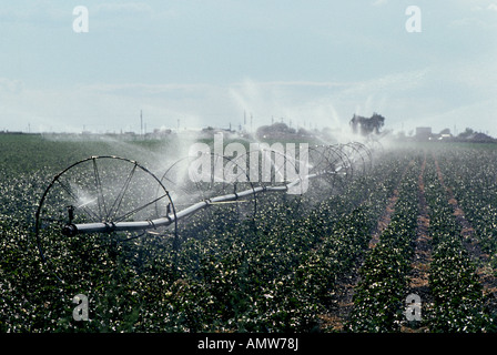 USA nuovo Messico una laminazione di grandi dimensioni di un sistema di irrigazione acque un campo di cotone nella parte orientale del Nuovo Messico vicino Clovis Foto Stock