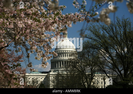 Il Campidoglio US come si vede dal Mall di Washington DC. Foto Stock