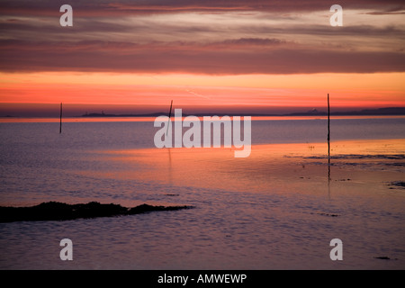 Il Santo isola di Lindisfarne  Northumberland Regno Unito Foto Stock