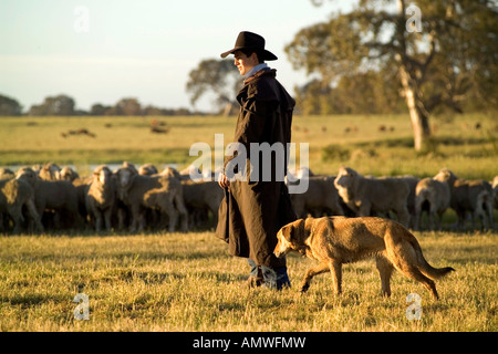 Un agricoltore raduno ovini nelle prime ore del mattino con il suo cane Foto Stock