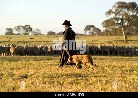 Un agricoltore raduno ovini nelle prime ore del mattino con il suo cane Foto Stock