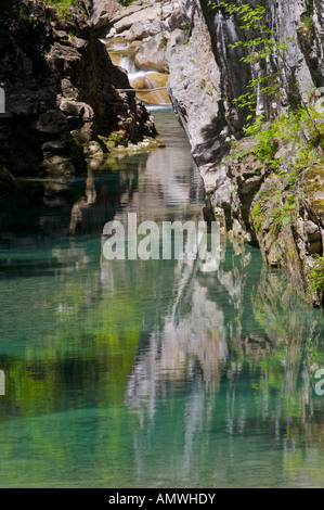 Rio Bellos nel canone (canyon) de Anisclo, Parque National y Monte Perdido, un sito Patrimonio Mondiale dell'UNESCO, Valle de Vio Foto Stock