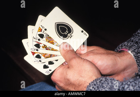 Mani maschili in possesso di un set di schede Foto Stock