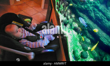 Baby watchin pesci in un acquario Foto Stock