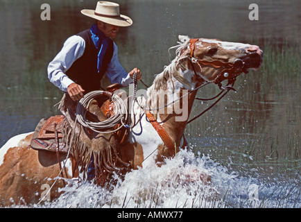 Cowboy su un cavallo di vernice nel fiume su Oregon Foto Stock