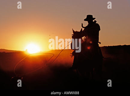 Silhouette di cowboy gettando una corda in basso verso il cane al tramonto di un ranch in Oregon Foto Stock