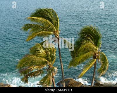 Baia di Acapulco, Playa Icacos Foto Stock