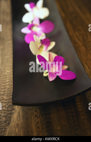 Close-up di fiori di orchidea sul piatto di legno Foto Stock