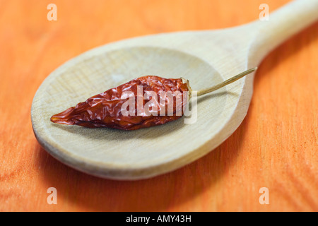 Close-up di peperoncino rosso sul cucchiaio di legno Foto Stock