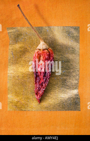 Close-up di peperoncino rosso secco Foto Stock