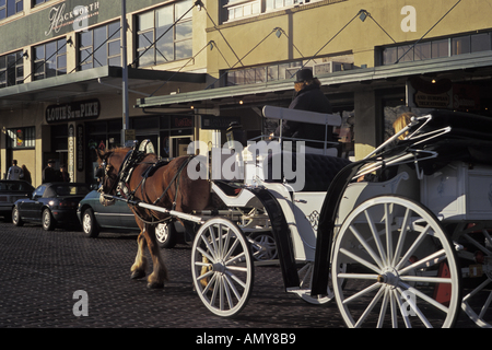 White Horse Carrozza passa attraverso il Mercato di Pike Place Seattle Washington Foto Stock