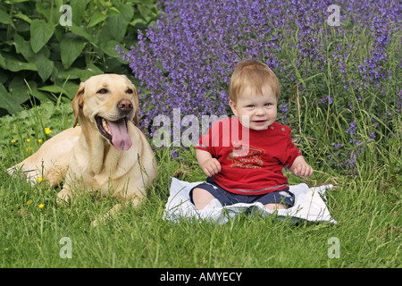 Il Labrador Retriever e ragazzo su prato Foto Stock