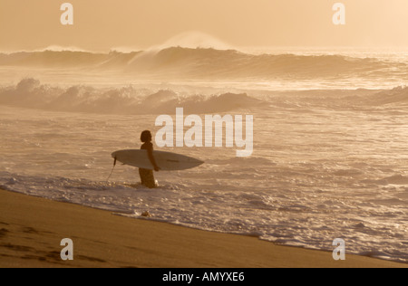 Camminando verso il basso nel surf in inizio di mattina di sole retroilluminato a Banzai Pipeline North Shore di Oahu Hawaii Isole Hawaii Foto Stock