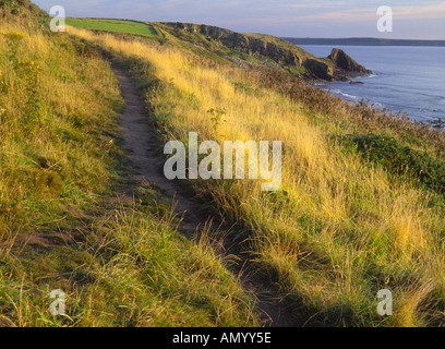 Pembrokeshire Coast Path vicino Newgale in Pembrokeshire West Wales Foto Stock