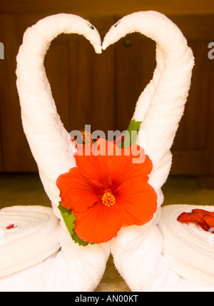 Messico Baja California Cabo San Lucas Pueblo Bonita Sunset Beach Hotel in bagno gli asciugamani piegati come cigni con Red Hibiscus Foto Stock