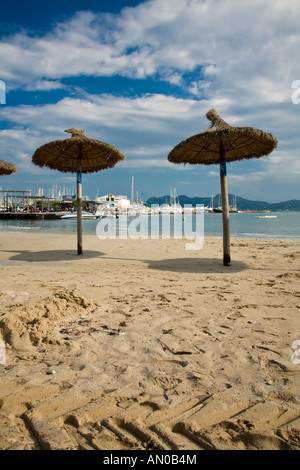 Ombrelloni sulla spiaggia a Port de Pollenca Maiorca Isole Baleari Spagna Foto Stock