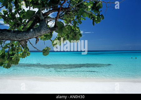 La bellissima spiaggia tropicale a Playa Pesquero vicino Guadarlavaca Holguín Cuba Foto Stock