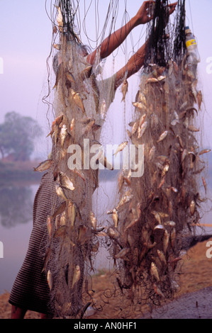 Un nativo di pescatore birmano esaminando giornaliera delle catture in Taungoo MYANMAR Birmania 2005 Foto Stock