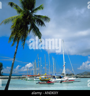 Barche a vela Foto Stock