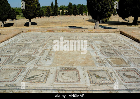 Spagna Andalusia Siviglia Provincia Santiponce l'italica rovine Romane pavimenti in mosaico in casa degli uccelli Foto Stock