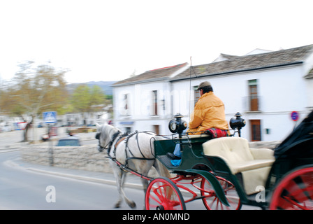 Cavallo turistico carrello, Ronda, Andalusia, Spagna Foto Stock