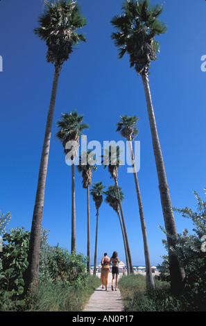 South Beach di Miami Florida fl delano hotel due donne a piedi per la spiaggia fiancheggiata da alte sottili palme Foto Stock