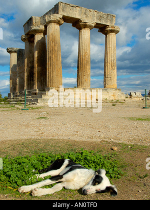 Tempio di Apollo a Corinto Foto Stock