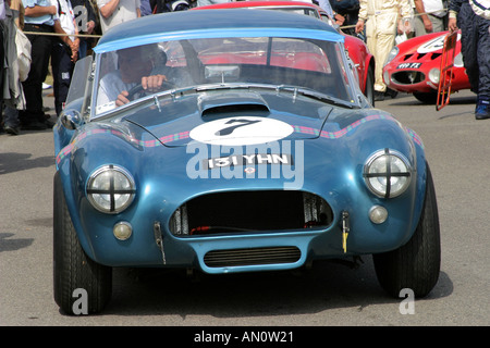 1964 AC Cobra nel paddock di Goodwood Sale Riunioni Foto Stock