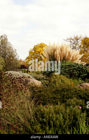 Le erbe e gli arbusti crescono in un autunno giardino secco. RHS HYDE HALL ESSEX. Foto Stock