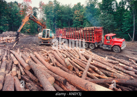 La raccolta di legname nei boschi del nord del New Hampshire USA / Stati Uniti Foto Stock