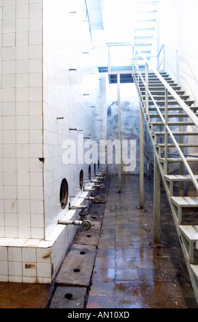 Enormi di calcestruzzo di fermentazione e stoccaggio delle cisterne che sono oggetto in piastrelle bianche. La scala in ferro che conduce alla cantina sotterranea. Foto Stock