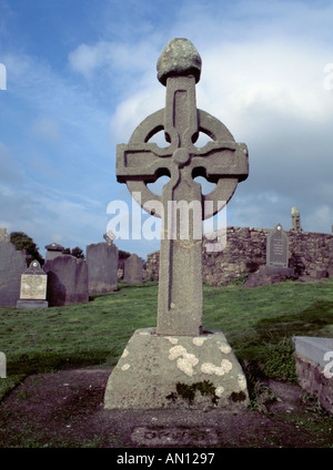 Uno dei tre VIII secolo scolpiti in pietra alta attraversa a kilkieran, a nord di carrick on suir, nella Contea di Kilkenny, Eire (Irlanda) Foto Stock